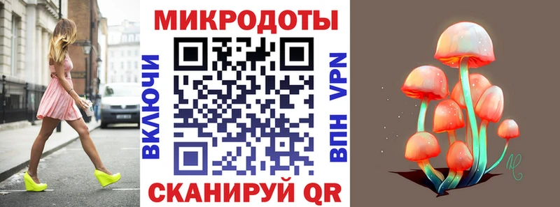Купить  Зима  Псилоцибиновые грибы Psilocybe 
