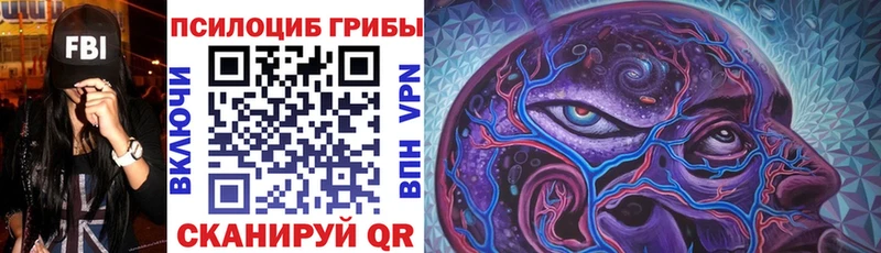 Псилоцибиновые грибы Psilocybe Зима